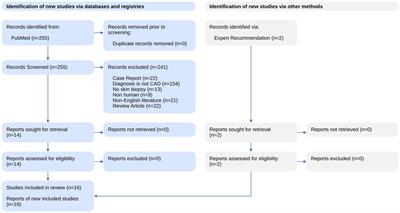 Spontaneous cervical artery dissection: is it really a connective tissue disease? A comprehensive review